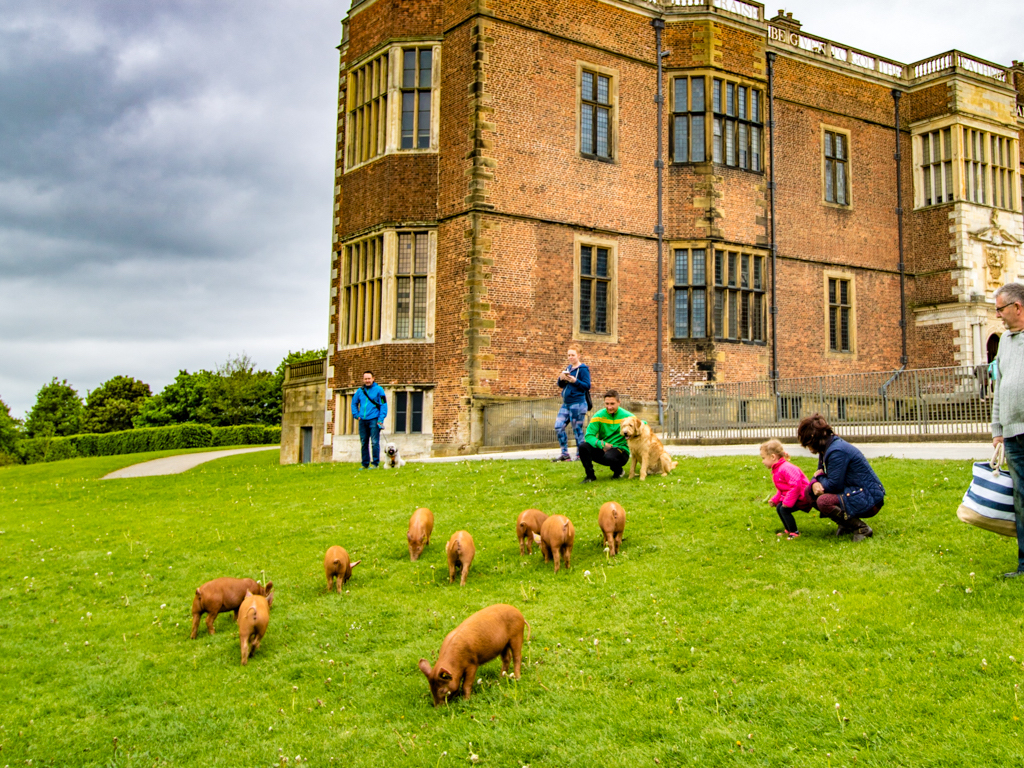 About the park Friends of Temple Newsam Park